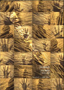 Landscape Dissolves |   DVD